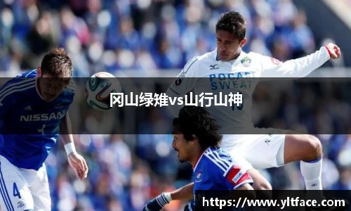 冈山绿雉vs山行山神